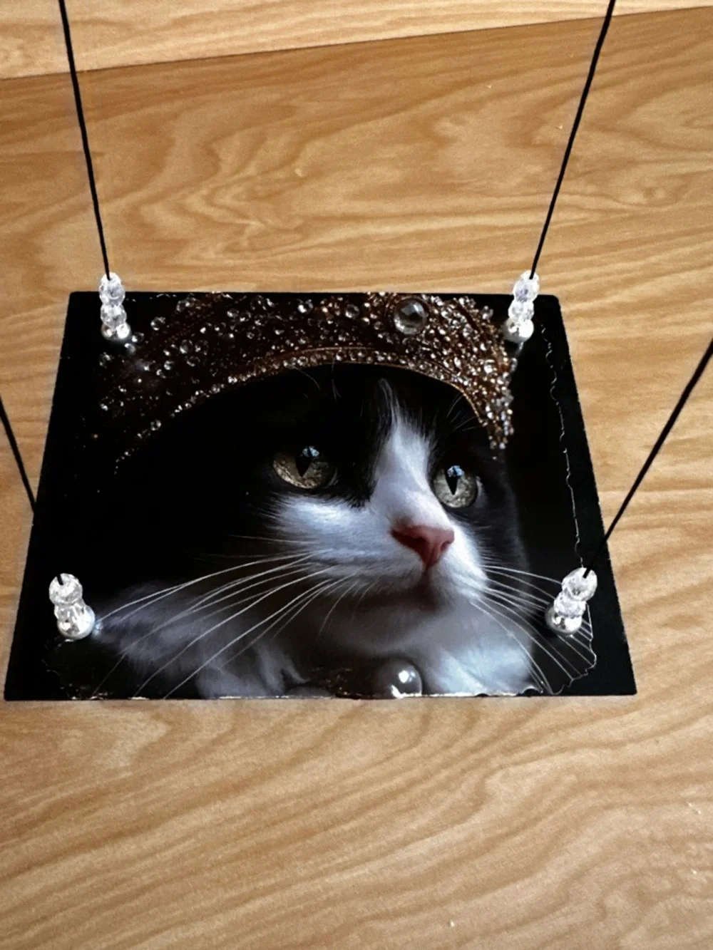 Hand crafted Decorative Black & White Cat floating hanging shelf